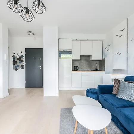 Navy Blue By Northside *